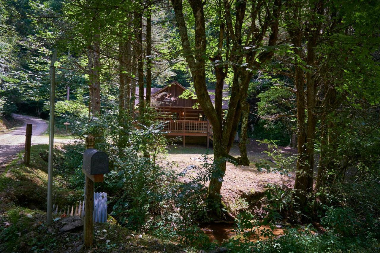 A Cabin In The Woods Pigeon Forge Ngoại thất bức ảnh