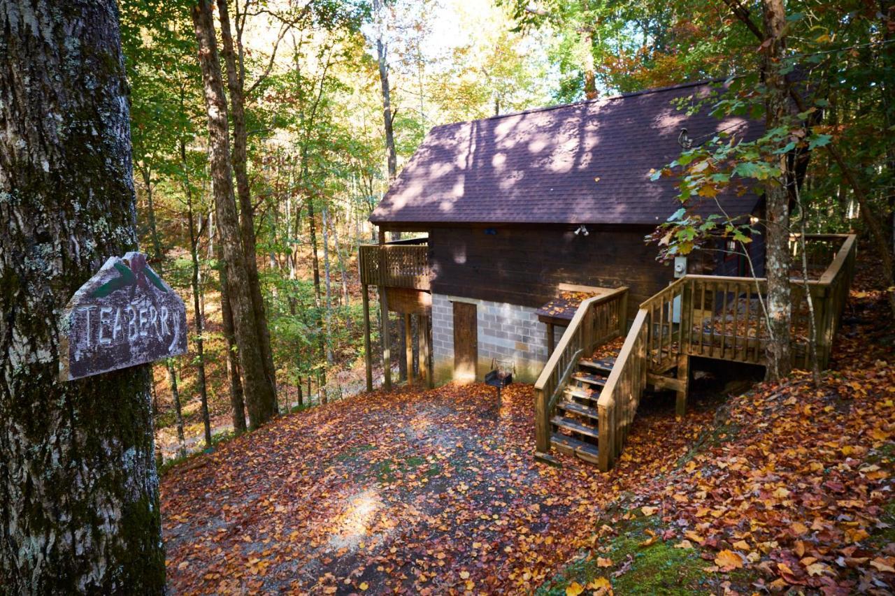A Cabin In The Woods Pigeon Forge Ngoại thất bức ảnh